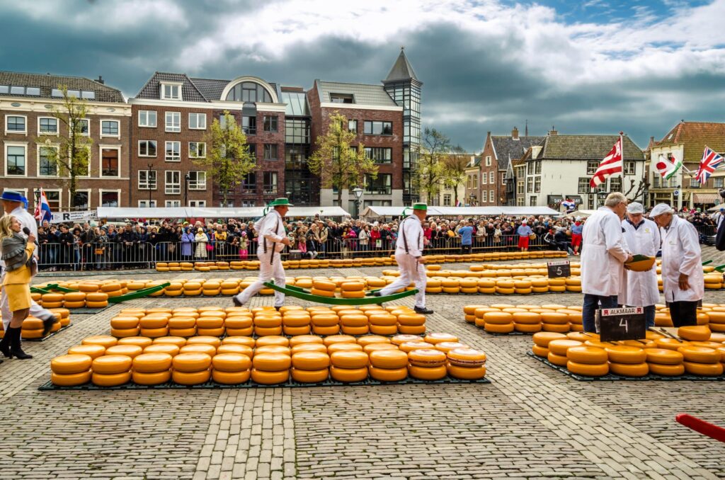 Cheese Markets and Tastings